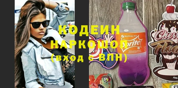 индика Верея