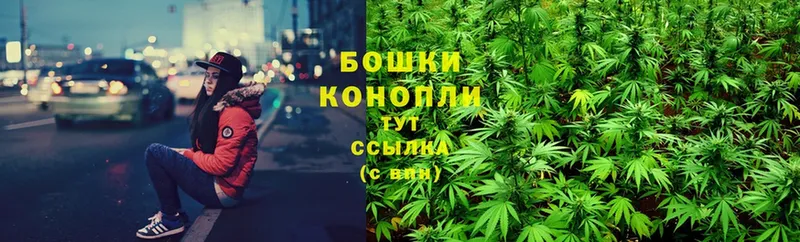 Бошки марихуана SATIVA & INDICA  Всеволожск 